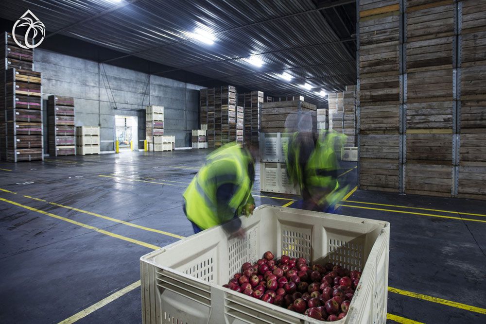 Cold Storage and Refrigeration services